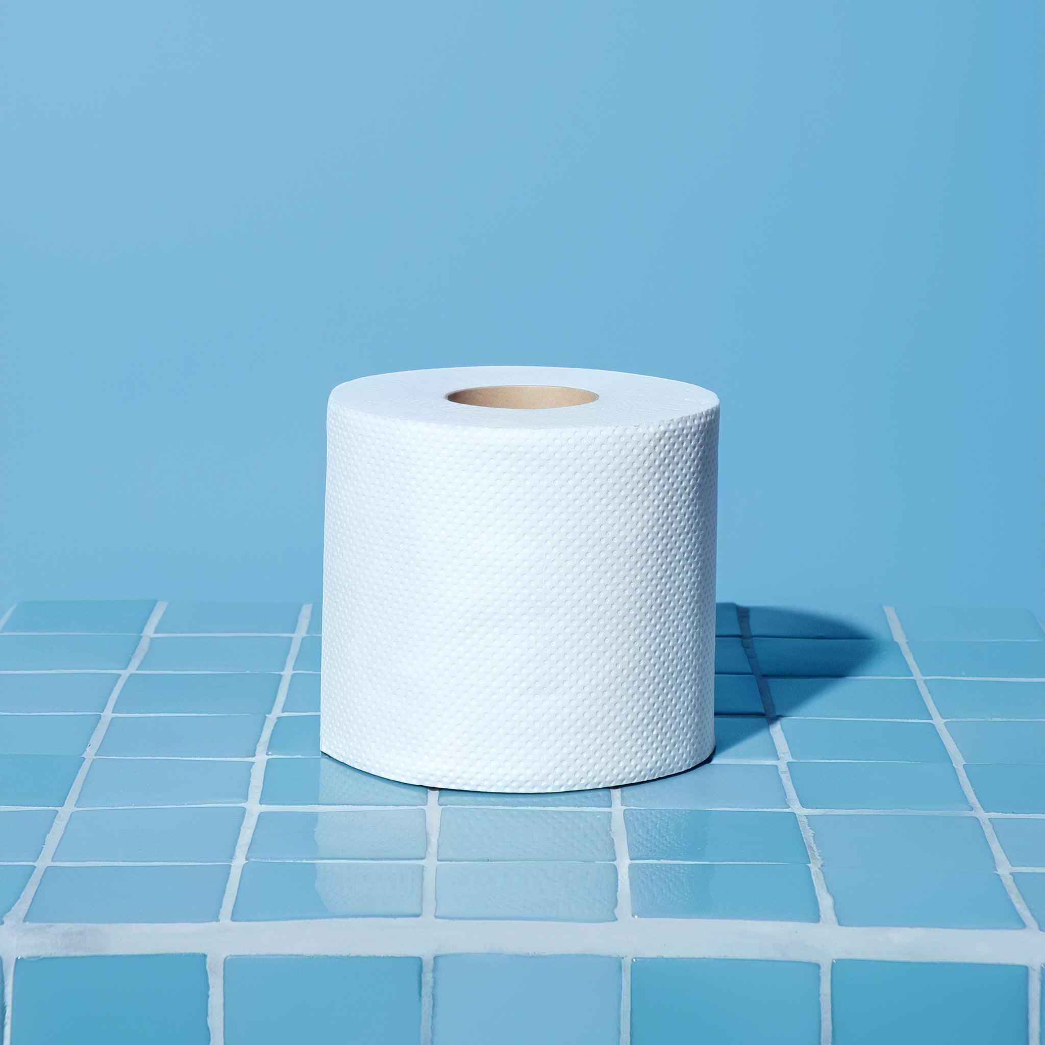Potty Mouth Bamboo Toilet Paper